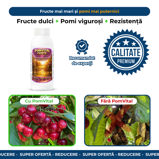 PomVital FORTE