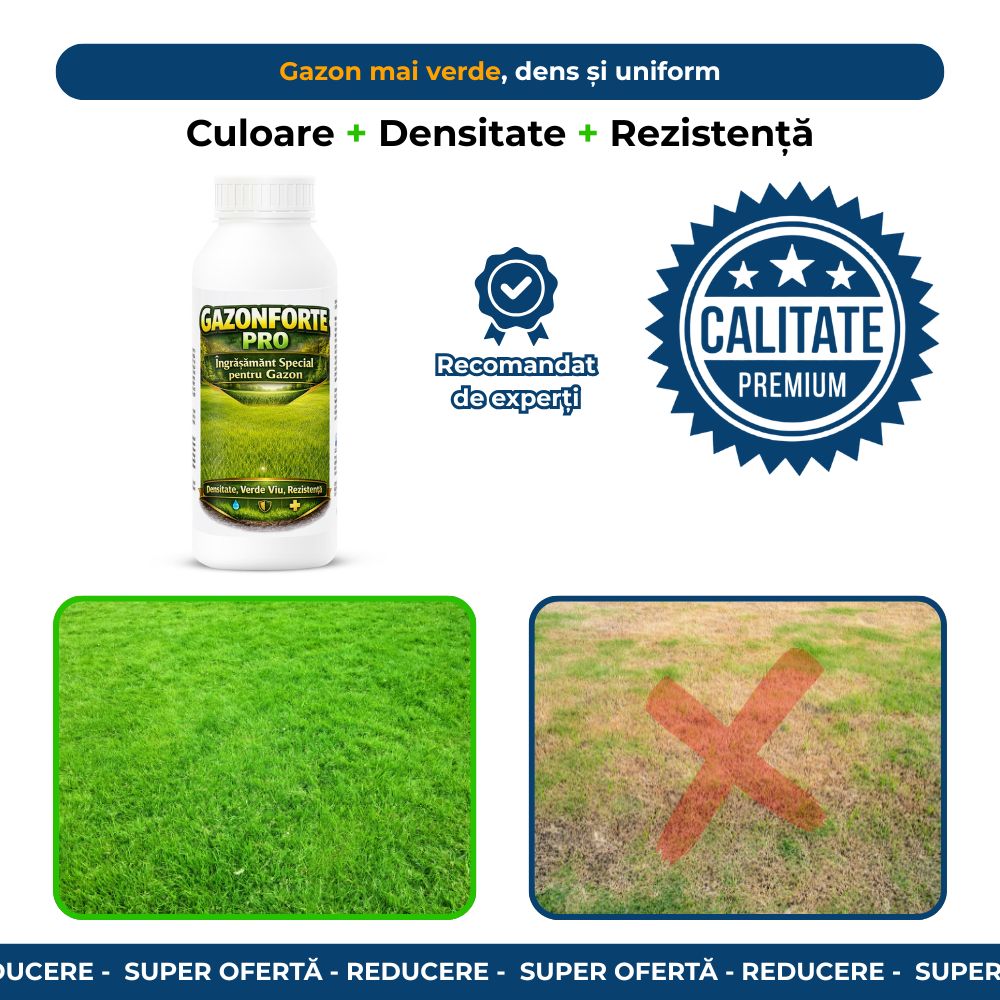 GazonForte PRO