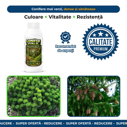 Conifer Vital EC