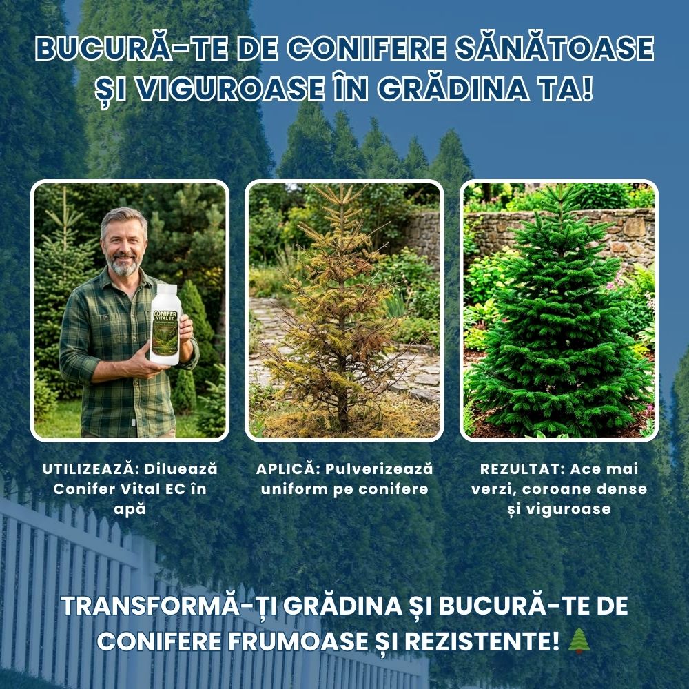 Conifer Vital EC