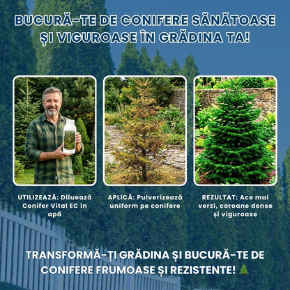 Conifer Vital EC