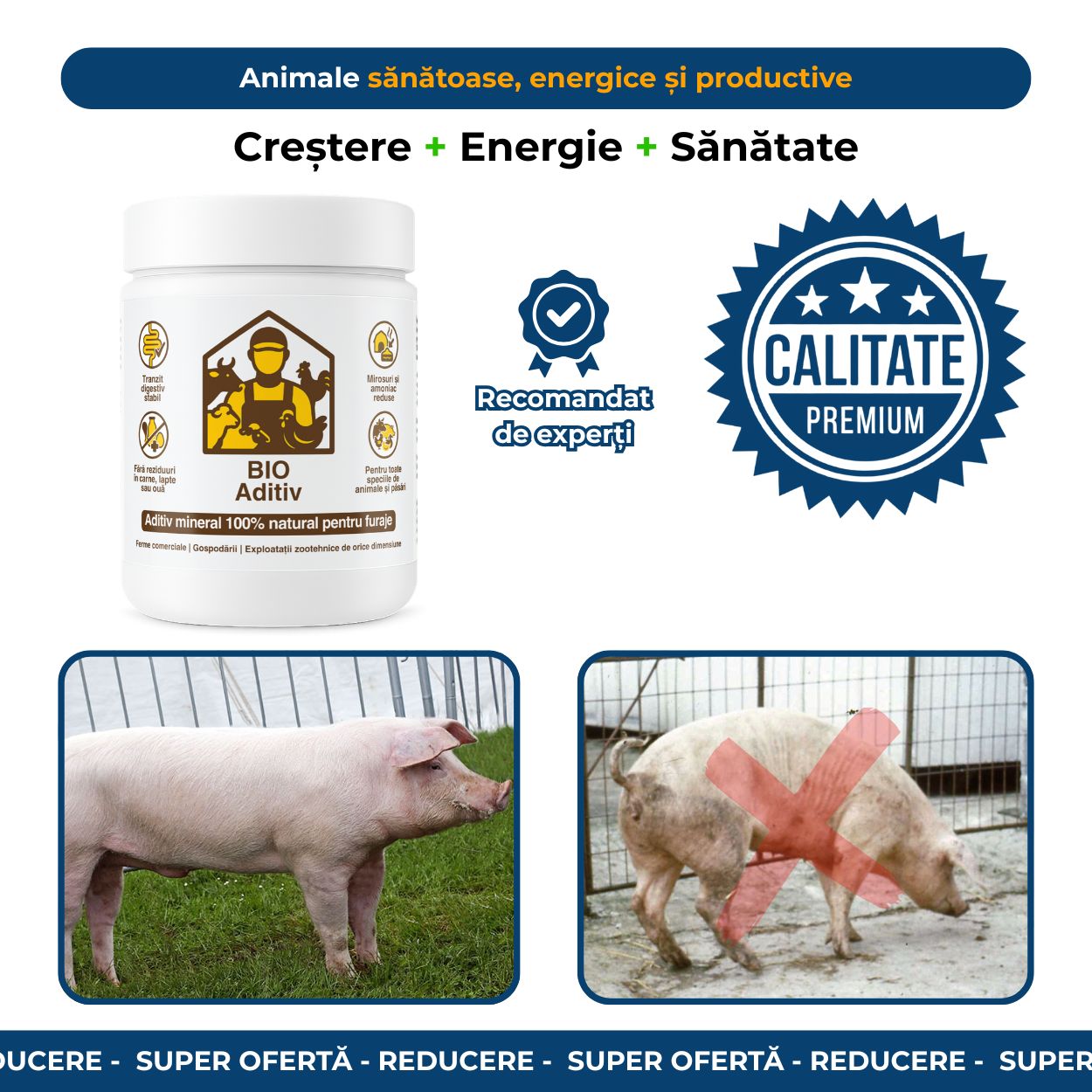 BIO Aditiv 500g