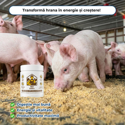 BIO Aditiv